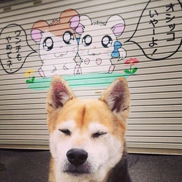 什么叫战神啊？莱万，都坐下，常规操作