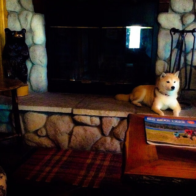 开云-当东方铁壁遭遇西方利刃，切特爆发夜，深圳队关键战逆袭雷霆启示录